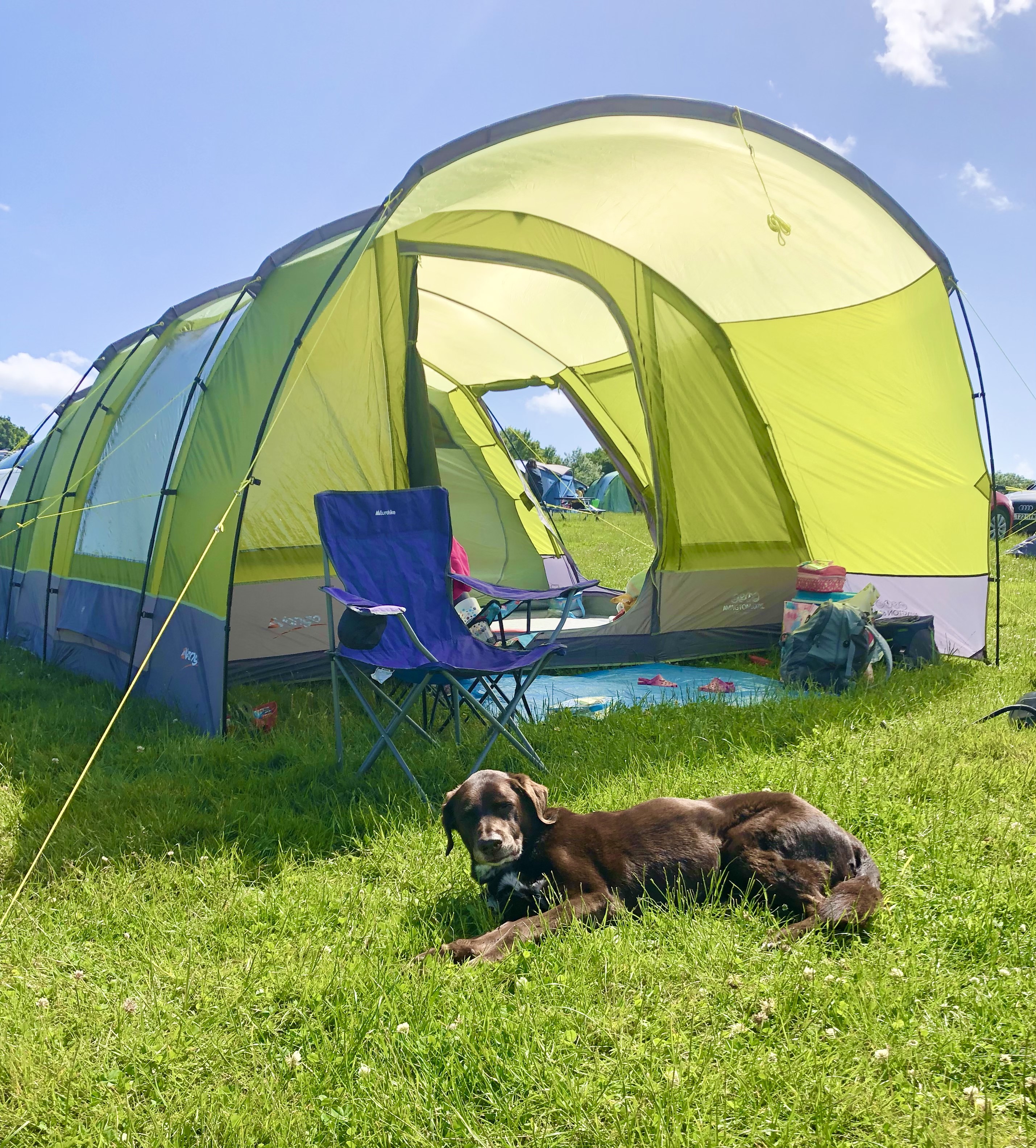 Dogs permitted at Bedgebury Camping