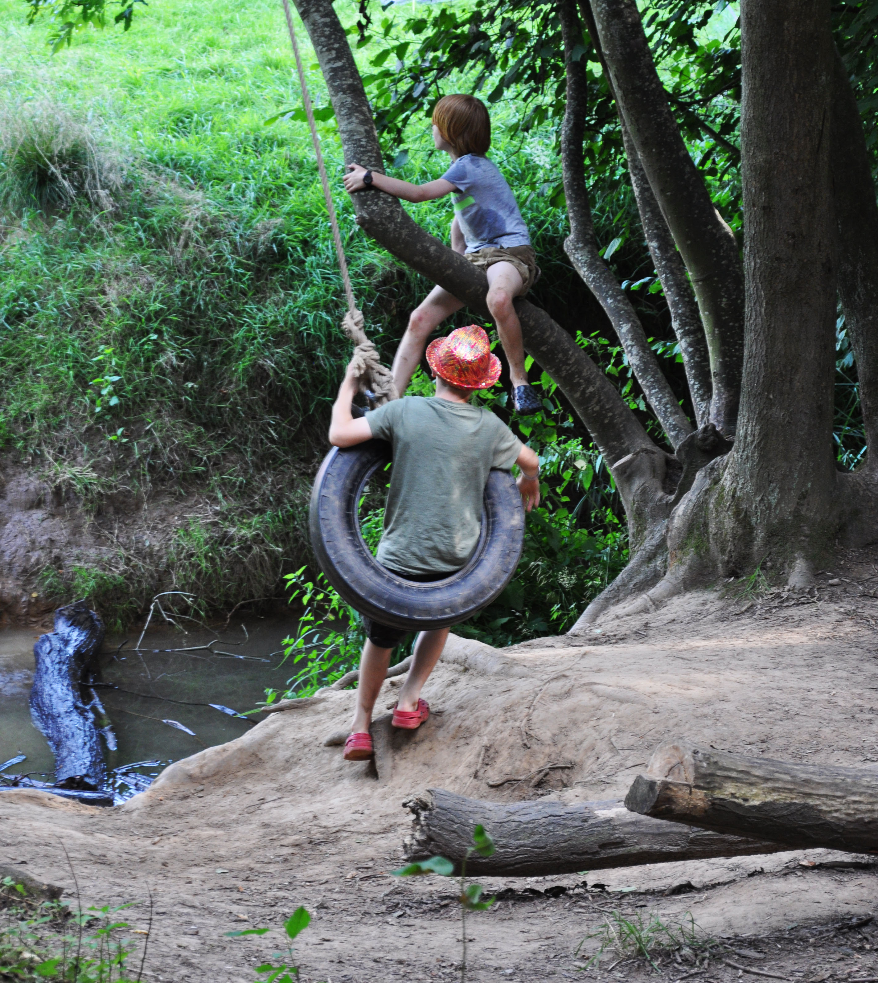 Natural play areas at Bedgebury Camping