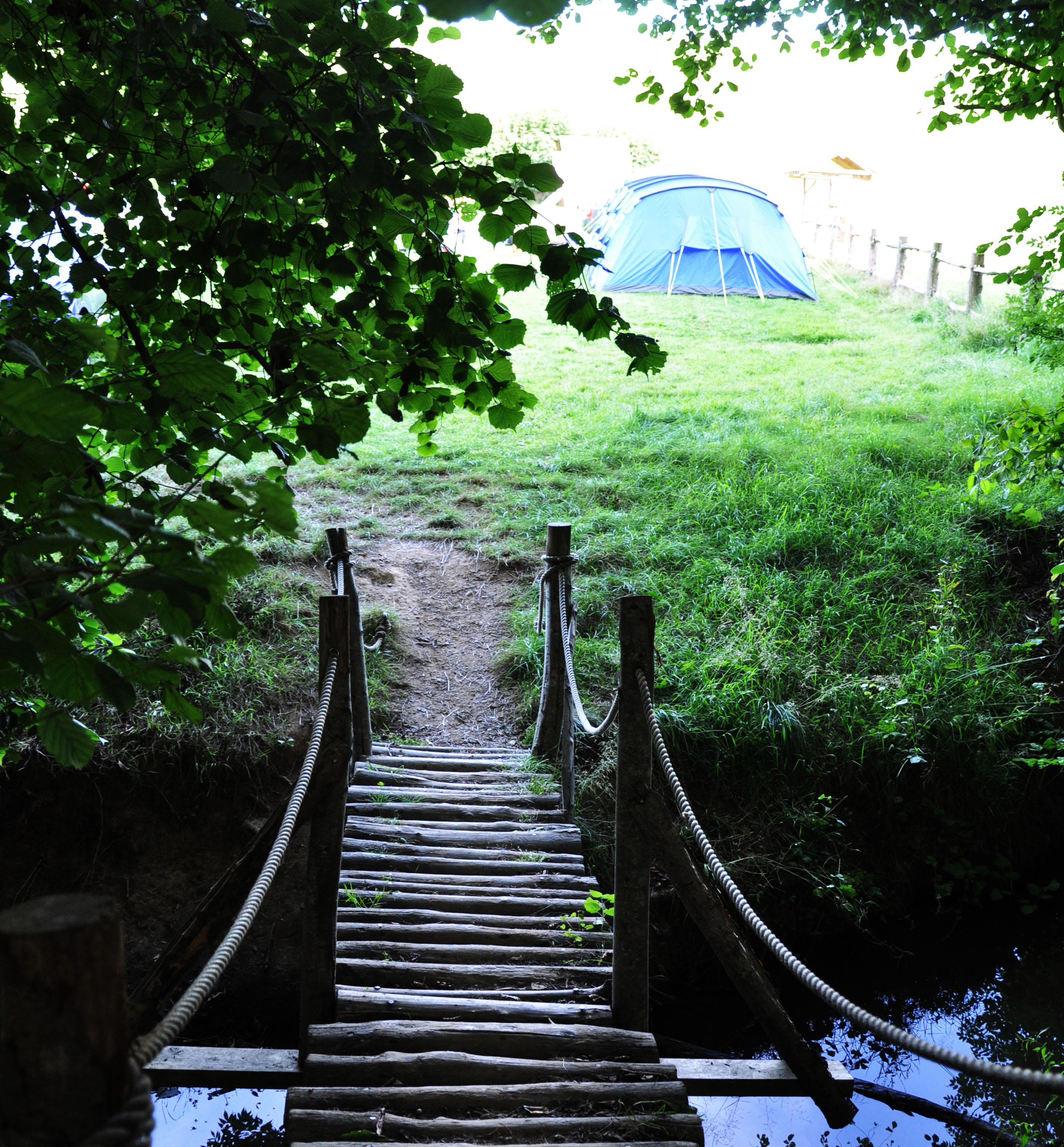 Stream at Bedgebury Camping